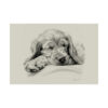 English Cocker Spaniel Portrait Fine Art Print