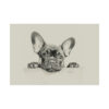 French Bulldog Portrait Fine Art Print