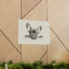 French Bulldog Portrait Fine Art Print