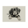 Gordon Setter Portrait Fine Art Print