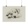 Golden Retriever Portrait Fine Art Print