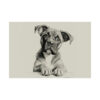 Boxer Dog Portrait Fine Art Print