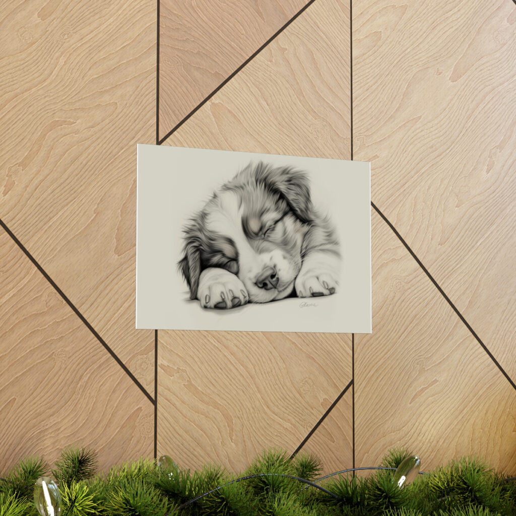 Australian Shepherd Dog Portrait Fine Art Print