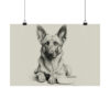 Belgian Malinois Portrait Fine Art Print