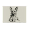 Belgian Malinois Portrait Fine Art Print