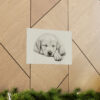 Labrador Retriever Portrait Fine Art Print