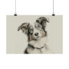 Australian Shepherd Dog Portrait Fine Art Print