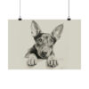 Doberman Portrait Fine Art Print