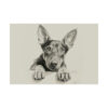 Doberman Portrait Fine Art Print