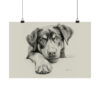 Rottweiler Portrait Fine Art Print