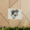 Rottweiler Portrait Fine Art Print