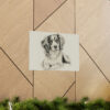 Cavalier King Charles Spaniel Portrait Fine Art Print