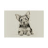 Yorkshire Terrier Portrait Fine Art Print