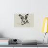 Boston Terrier Portrait Fine Art Print