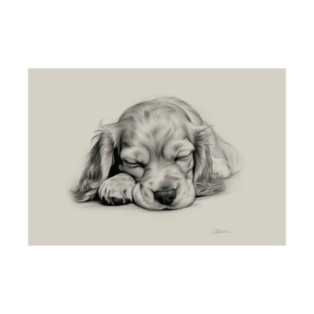 English Cocker Spaniel Portrait Fine Art Print