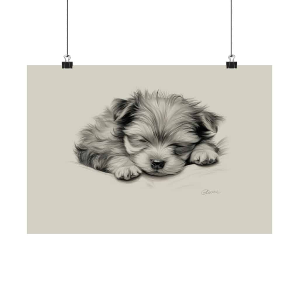 Yorkshire Terrier Fine Art Print