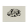 Yorkshire Terrier Fine Art Print