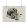 German Shorthaired Pointer Fine Art Print