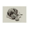 German Shorthaired Pointer Fine Art Print