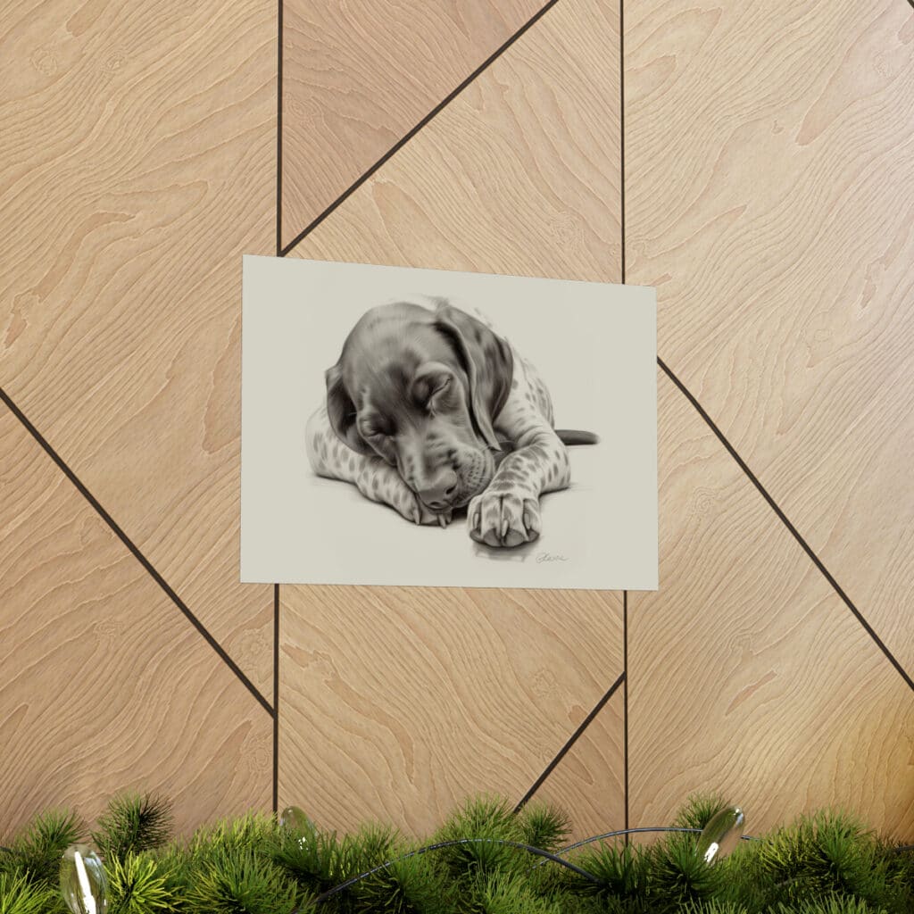 German Shorthaired Pointer Fine Art Print