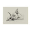 American Hairless Terrier Fine Art Print