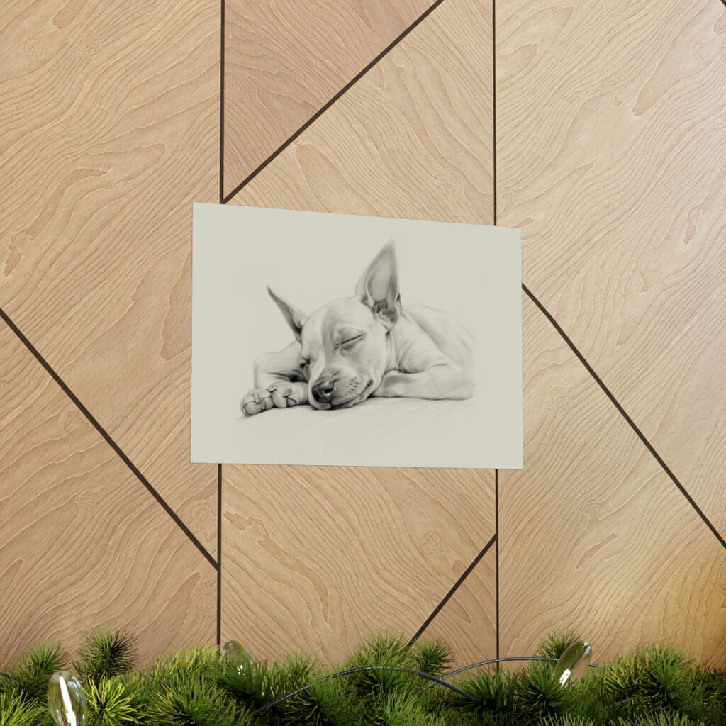 American Hairless Terrier Fine Art Print