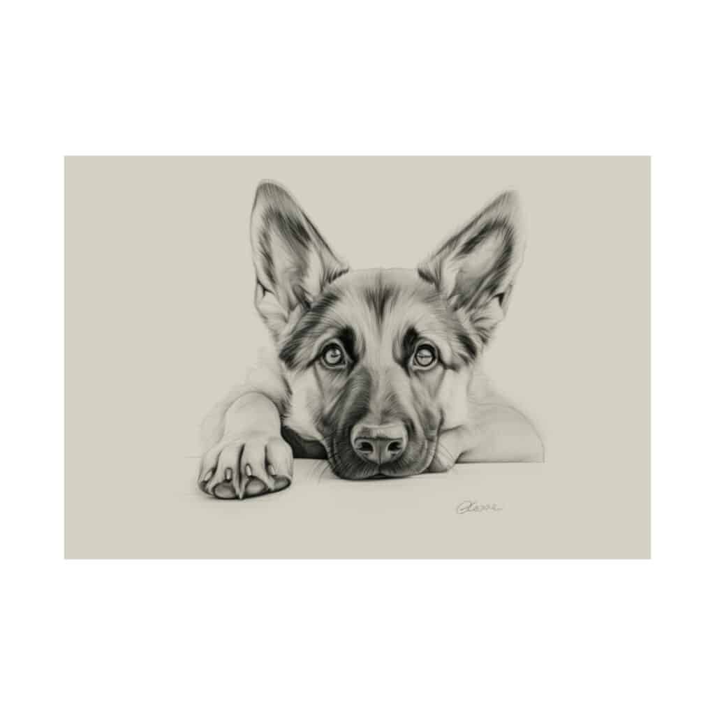 German Shepherd Fine Art Print