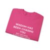 Chasing Wisdom Funny Sweatshirt