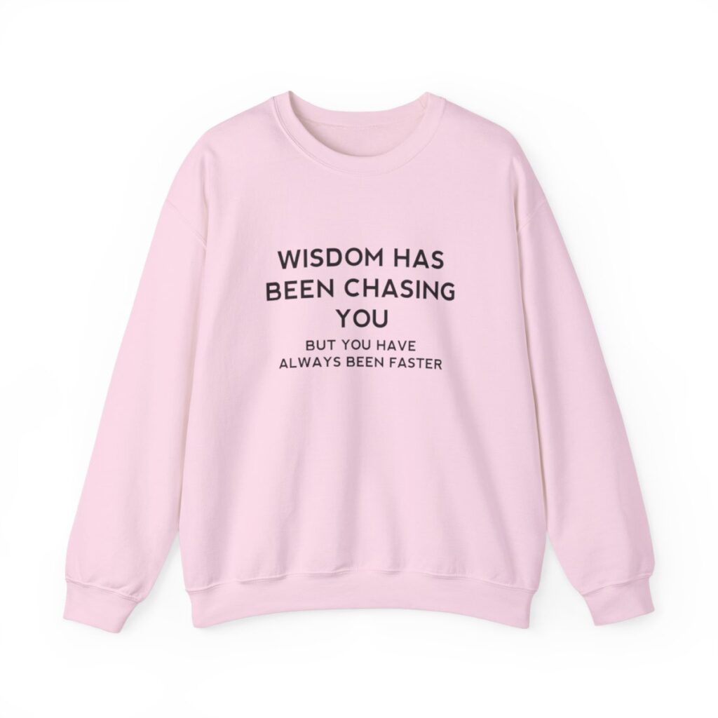 Chasing Wisdom Funny Sweatshirt