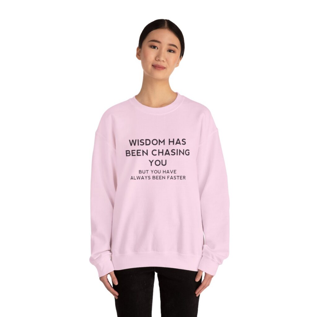 Chasing Wisdom Funny Sweatshirt