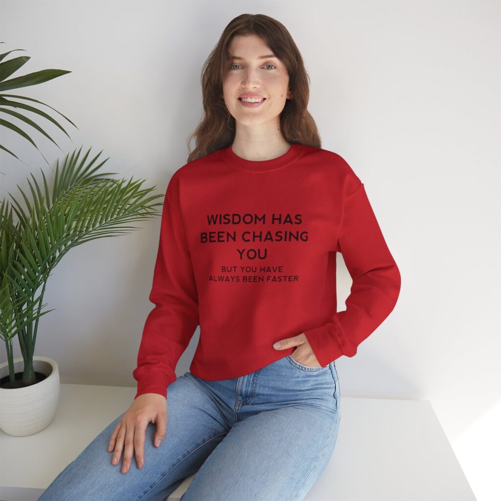 Chasing Wisdom Funny Sweatshirt