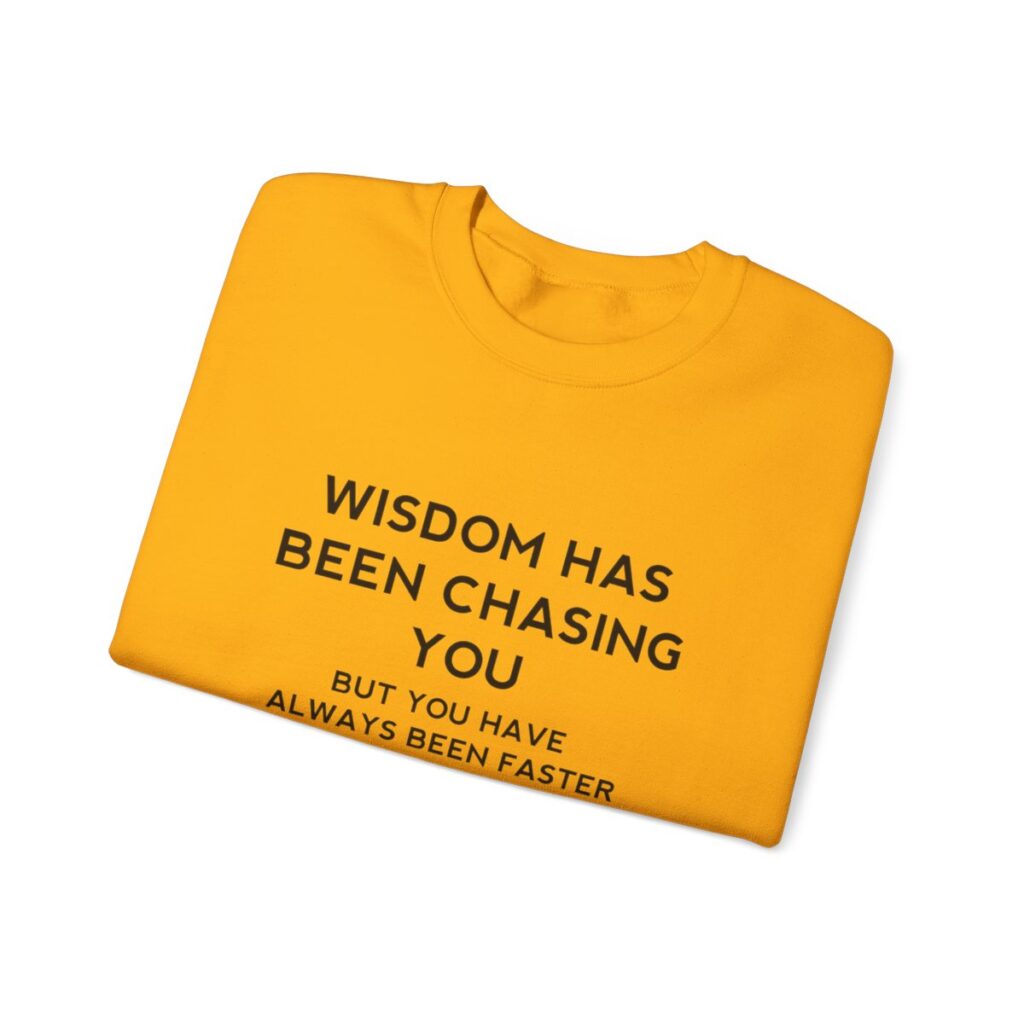 Chasing Wisdom Funny Sweatshirt