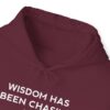 Chasing Wisdom Funny Hoodie