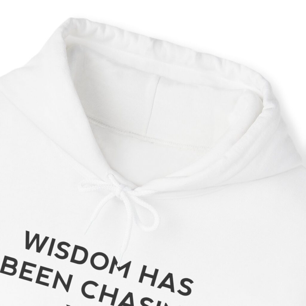 Chasing Wisdom Funny Hoodie