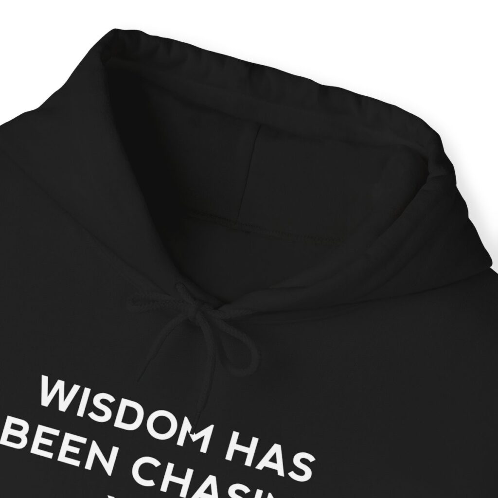 Chasing Wisdom Funny Hoodie