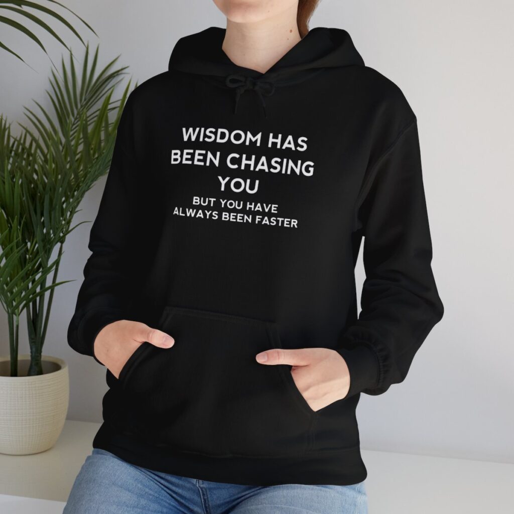 Chasing Wisdom Funny Hoodie