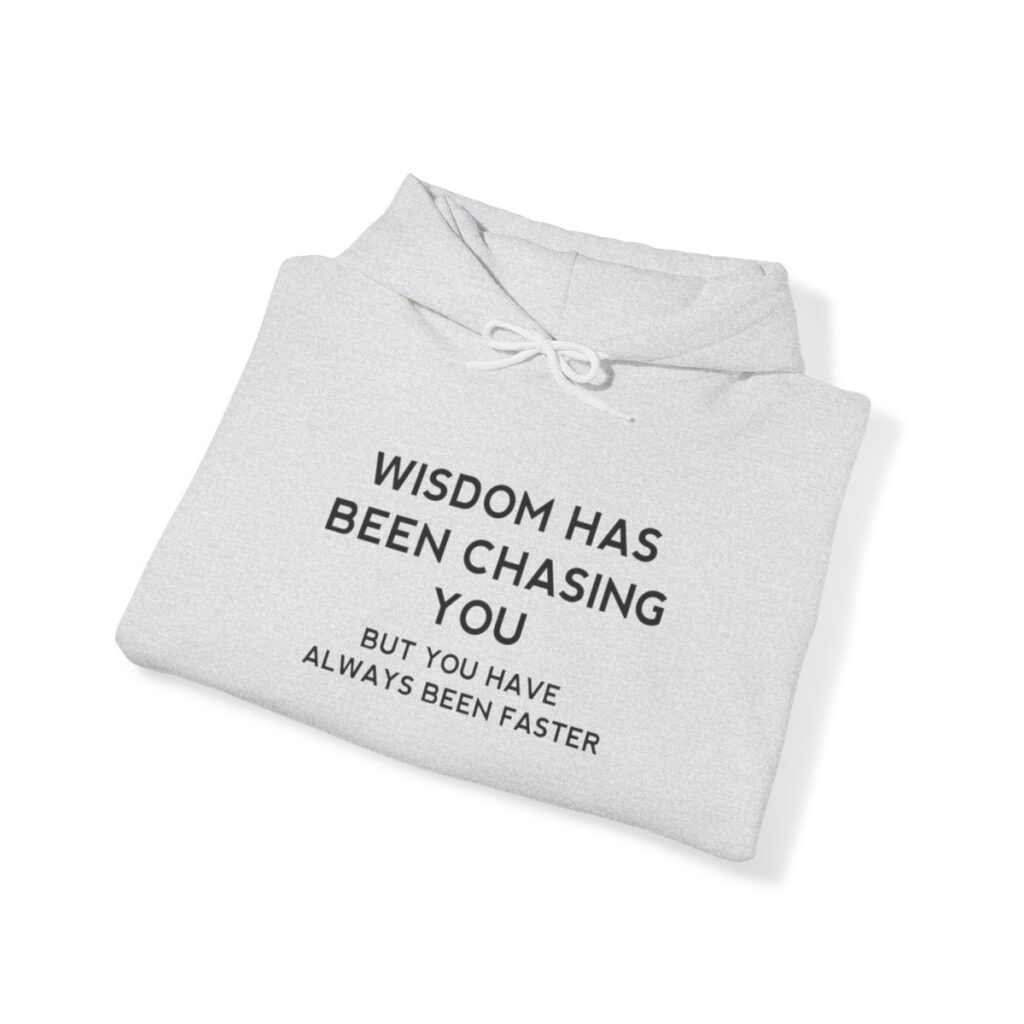 Chasing Wisdom Funny Hoodie