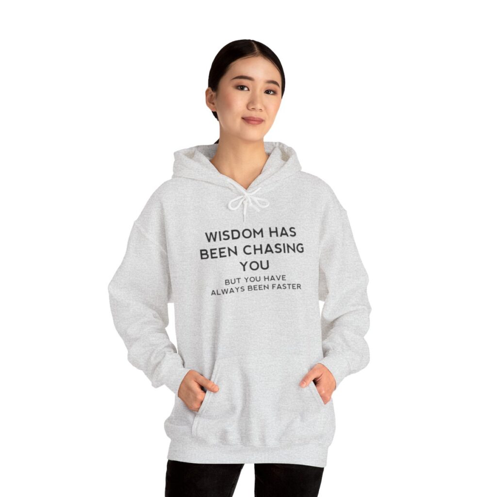 Chasing Wisdom Funny Hoodie