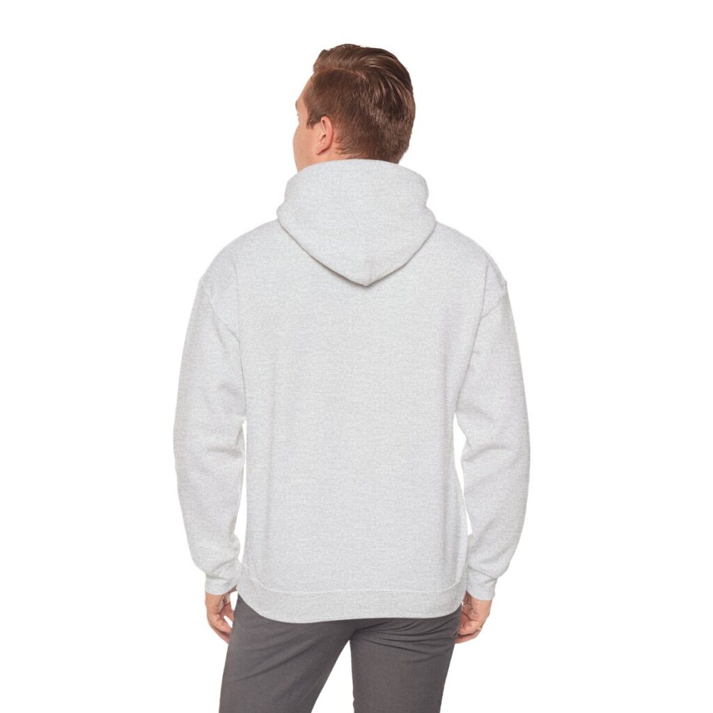 Chasing Wisdom Funny Hoodie