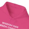 Chasing Wisdom Funny Hoodie