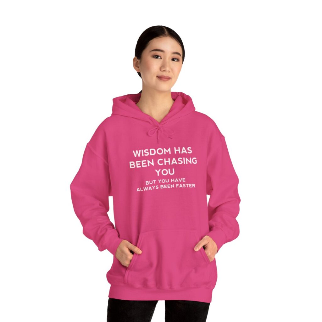 Chasing Wisdom Funny Hoodie