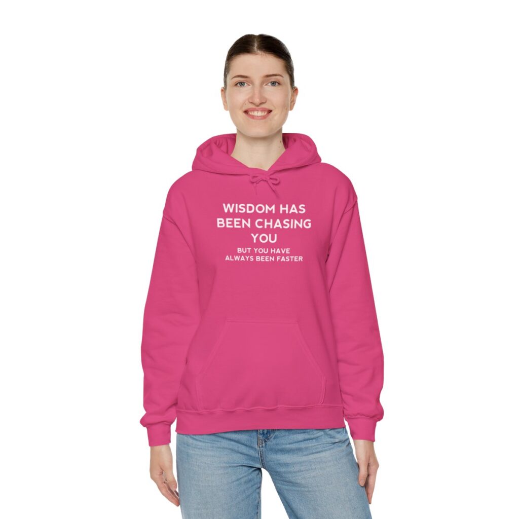 Chasing Wisdom Funny Hoodie