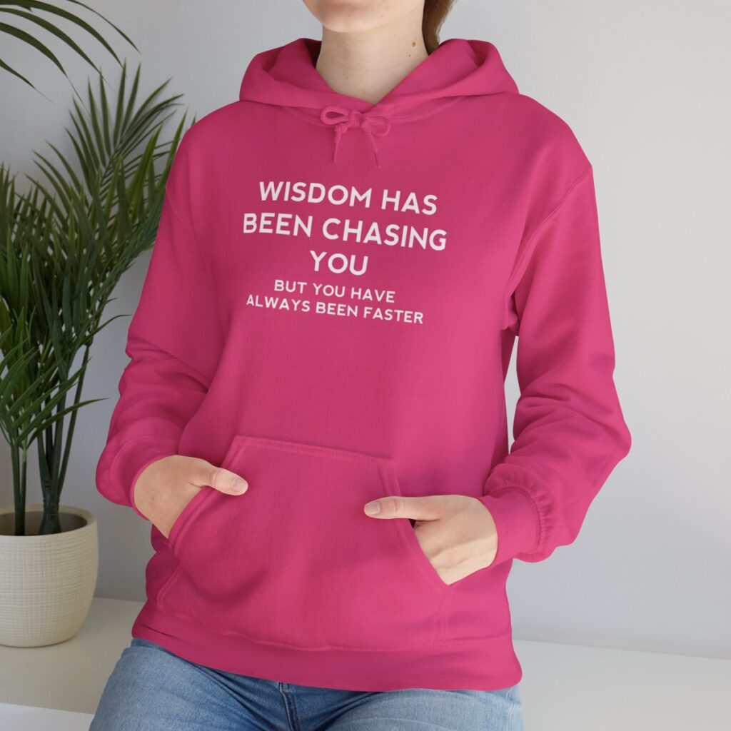 Chasing Wisdom Funny Hoodie