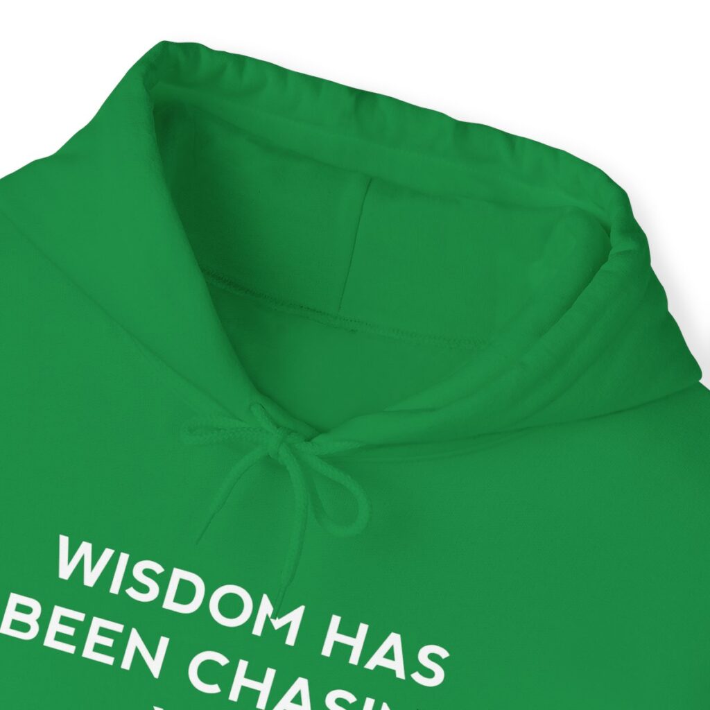 Chasing Wisdom Funny Hoodie