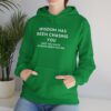 Chasing Wisdom Funny Hoodie