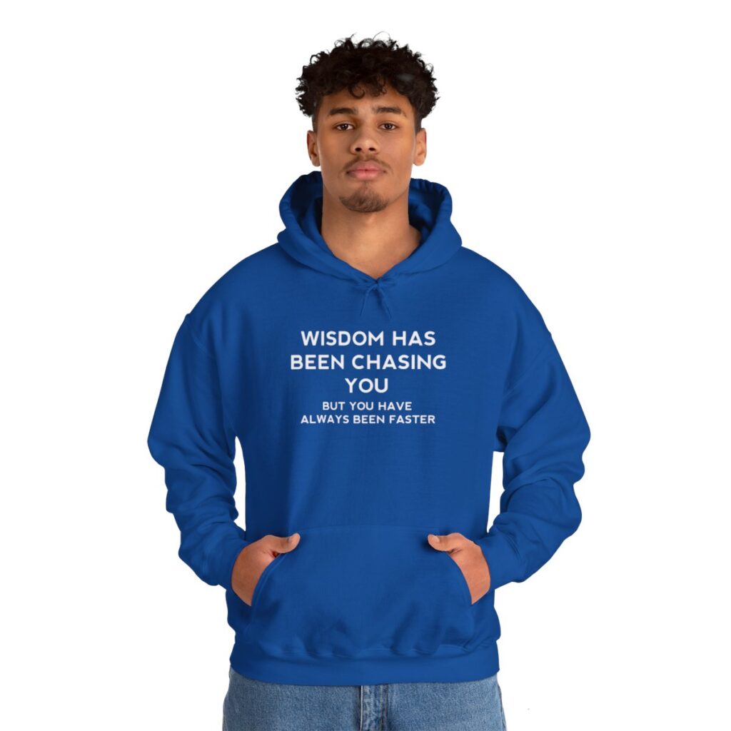 Chasing Wisdom Funny Hoodie