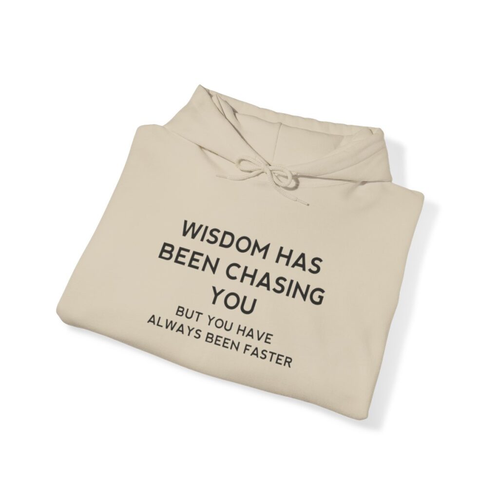 Chasing Wisdom Funny Hoodie