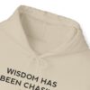 Chasing Wisdom Funny Hoodie