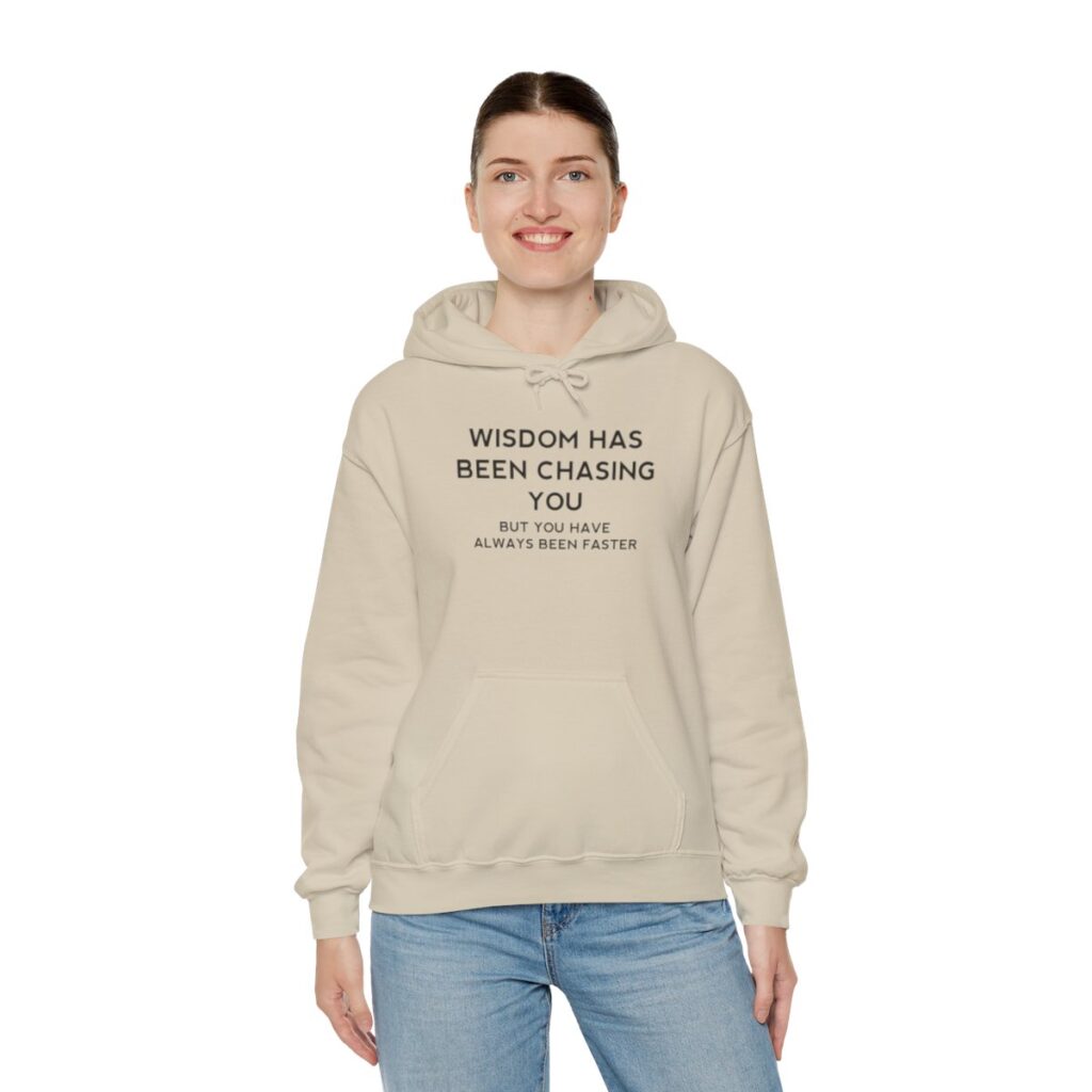 Chasing Wisdom Funny Hoodie