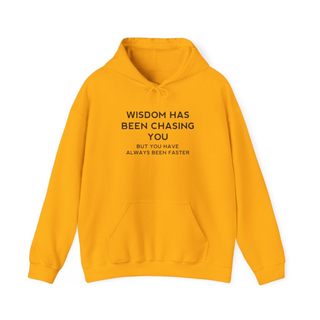 Chasing Wisdom Funny Hoodie